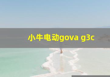 小牛电动gova g3c